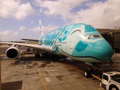 ハワイオアフ島旅行記2020～6日目帰国日～ホヌ！！嵐ジェットにも遭遇～