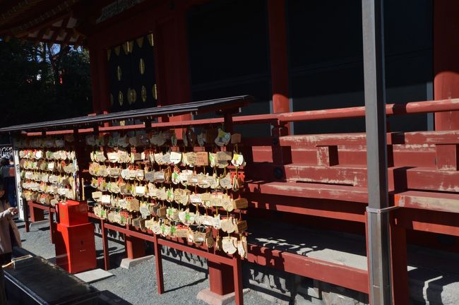 梅が見頃との噂を聞いたので、2月23日の令和初天長節に鶴岡八幡宮に行きましたが、梅の名所ではないようです。変わりに桜がちらほら咲いていました。\(◎o◎)/!