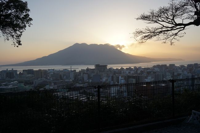 鹿児島中央駅まで新幹線さくらで到着。福岡から九州に入りそこからとても長い時間座っていない到着しません。やはり鹿児島は遠いです。九州新幹線みずほは指定席をネット予約試みましたが、すぐ満席でとれませんでした。<br />ところが帰りはフライトにしたので、あっという間に到着。しかも高度が低いので九州や四国?広島?の陸地が良く見えて、景色も楽しめました。<br />桜島が噴火していて日本列島は火山帯なのを実感。JR観光バスツアーのガイドさんも午前は曇ってみえませんでしたが、午後は噴煙が見れてましたね、と。<br />翌日は朝食ランキングで常に上位にはいる城山ホテルの朝食を開始時間と同時に会場入りして堪能しました。この日も桜島の朝日と噴煙がみえ、わざわざ来たかいが有りました。<br />朝食はさすが80種類の豊富なメニューのなかでもとくに焼きたてのホテルブレッドに6種類のジャムをつけてたべるのがおいしかったです。知覧茶ジャムと安納芋のジャムはホテルショップで購入。あさからパイ包み焼きもあり、評判通りの朝ご飯に家族みんな大満足です。