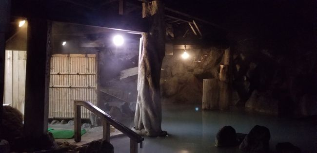 天皇誕生日の三連休に加仁湯温泉&日光に相方と1泊2日で行ってきました。<br /><br />冬場ですので、電車でアクセス出来るところで硫黄泉を検討したところ、新幹線を使うとそれなりの金額になってしまう中、加仁湯温泉は交通費と宿泊費を合わせた金額だと意外とリーズナブルなことがわかり、前から雪の加仁湯温泉に興味があったこともあり、加仁湯温泉に行くことにしました。<br /><br />加仁湯温泉は3回目でしたが、冬場は初めてでしたので楽しみにしていました。ところが、2月のこの時期は100%大雪だと思って行ったところ、現地に着いたら雪ではなく何と雨でした! それと三連休ということもあり満室でしたが、やはりそれなりの規模の旅館ですので、人人人で何だかイマイチ。おまけに人手不足で手が回ってない感じでした。それでも温泉そのものは相変わらずとても素晴らしく、空いている時間を見計らって入ったため、それなりに楽しむことができました。一方日光はというと、元々神社仏閣には興味がないため、せっかくだから行ってみようかぐらいの乗りで行きましたが、まあ取り敢えず「三猿」も見れたことだし良かったかなと。<br /><br />今回もそれなりには楽しめましたが、やはり加仁湯温泉というと、ウォーキングしたりして、周りの自然もセットで楽しまなければもったいない気がしました。次回は、紅葉の季節に、出来れば平日の空いた日に行ってみたいと思いました。