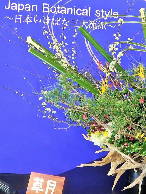 世界らん展-9 日本いけばな 三大流派 競演 ☆「池坊」「草月流