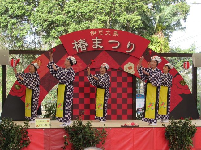 「伊豆大島椿まつり」は1/26(日)~3/22(日)まで開催されています。<br />メイン会場は島の北東部にある都立大島公園ですがその他にも数か所で行われています。<br />島中に椿が咲いているので、まあ島全体が会場のようなものですが・・<br />ステージでは一定時間にあんこさんのショーがあったりミスコンなども行われるようです。<br />路線バスで行ったので時間的制約があり椿園もゆっくり見ている余裕が無かったのが少し残念でした。<br />
