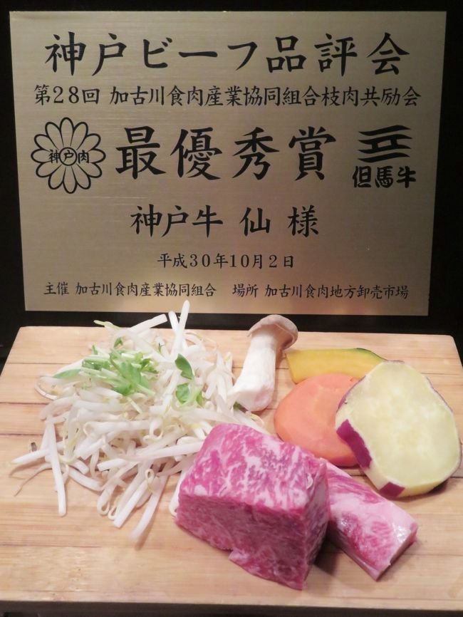 姫路 神戸レッサーパンダ遠征 ３ 神戸グルメと品揃え豊富な姫セン 神戸どうぶつ王国でのショッピング みやげ 動物園いろいろ 神戸 兵庫県 の旅行記 ブログ By まみさん フォートラベル