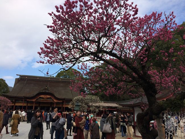 観光して、イベントにも行って、充実の旅行だった。