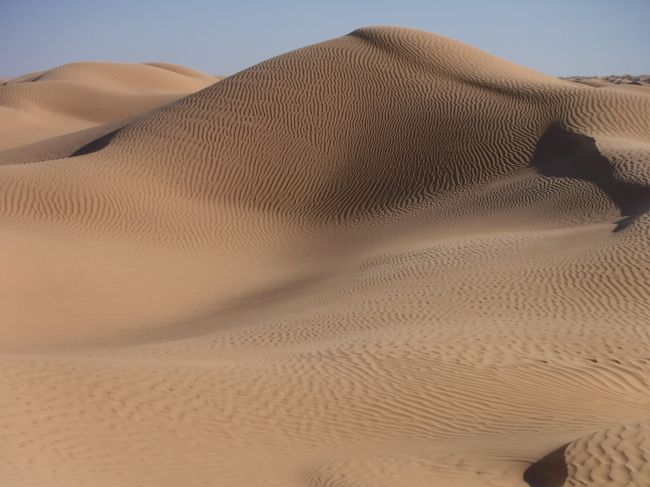 チュニジア　サハラ砂漠を約１００ｋｍ歩く旅に出ました<br />No.8<br /><br />今回のトレッキングで多くの砂丘を見てきました<br />その中で砂漠が色々な表情が有り<br />それをまとめて掲載します<br /><br />この写真は私が一番気に入ったものです<br />