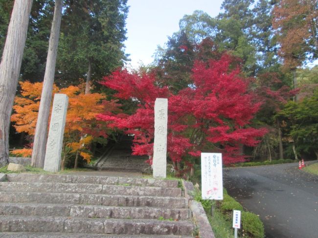 2019年11月半ばの秋晴れの日、バスで京都府北部にある綾部市周辺を観光しました。<br />綾部は肌着で有名なグンゼ発祥の地。グンゼは街の中心にあり地域の中核的存在であるとお見受けしました。<br />その後、綾部市郊外にある安国寺へ。足利尊氏の時代のお寺です。最後は平家落人が伝えた紙漉き伝統を今も守る黒谷を訪問。<br /><br />歴史が詰まる京都府北部で時代を遡る日帰り旅行でした。