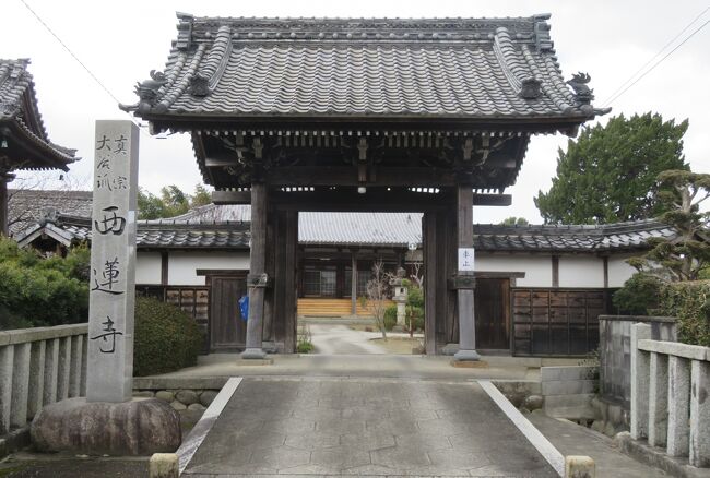 古い街道脇には、『大谷派(東本願寺)』の寺院の『真宗大谷派・西連寺』がありました。『お東』さんと通称されるこの派の寺院は、北陸地方・東海地方に多いとされます。いわゆる『加賀門徒』、『尾張門徒』、『三河門徒』などです。信長と10年に亘る『石山合戦』を戦いました。ただし、このお寺は、江戸時代に天台宗から転派したとされます。