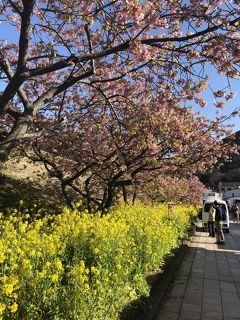 つるし雛を見に行こう。そしてちょこっと桜もね。ちょっとドキドキの一人旅②