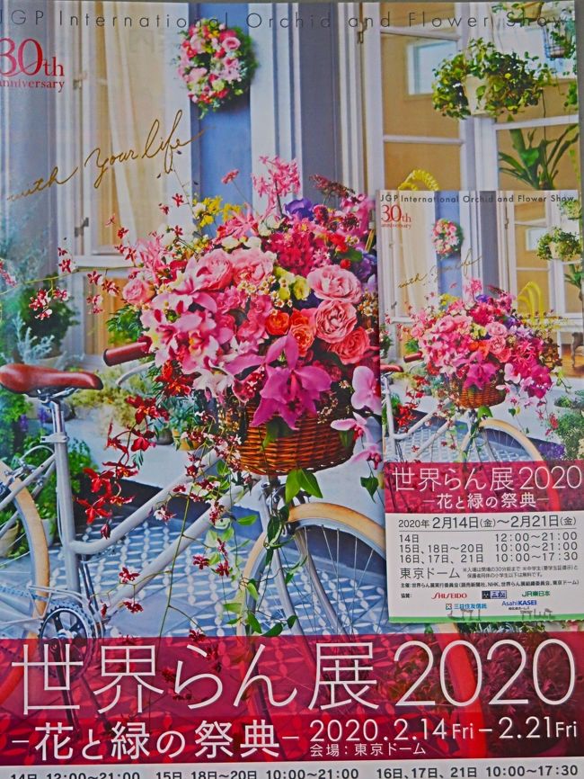 ハンギングバスケット　【英】：hanging basket<br />草花を植えた吊り鉢のことでコンテナガーデンの一種。思い思いの草花をアレンジしてつくられ，玄関や壁面を飾る。欧米ではかなり古くから行われていたが，近年のガーデニングブームで日本でも多く見られるようになった。<br />https://www.weblio.jp/content/%E3%83%8F%E3%83%B3%E3%82%AE%E3%83%B3%E3%82%B0%E3%83%BB%E3%83%90%E3%82%B9%E3%82%B1%E3%83%83%E3%83%88　　より引用<br /><br />世界らん展2020　については・・<br />https://www.tokyo-dome.co.jp/orchid/<br /><br />世界らん展－花と緑の祭典－は、日本における大規模国際園芸展示会であり、代表的な蘭展。 <br />毎年1回、2月中旬から下旬、東京都文京区の東京ドームで開催される。&lt;展示には洋蘭、東洋蘭（シュンラン、カンラン等）、日本の蘭（エビネ、セッコク等）など、世界約20ヶ国から約3000種10万株のラン科植物を中心に様々な植物が集まる。<br />全5部門に分けて作品を審査し、賞金総額は最大 1153万円である。<br />【部門5】ハンギングバスケット部門<br />審査対象：蘭の花を取り入れてデザインされたハンギングバスケットを審査する部門。<br />（フリー百科事典『ウィキペディア（Wikipedia）』より引用）<br /><br />受賞作品　については・・<br />https://www.tokyo-dome.co.jp/orchid/lineup/contest/<br />