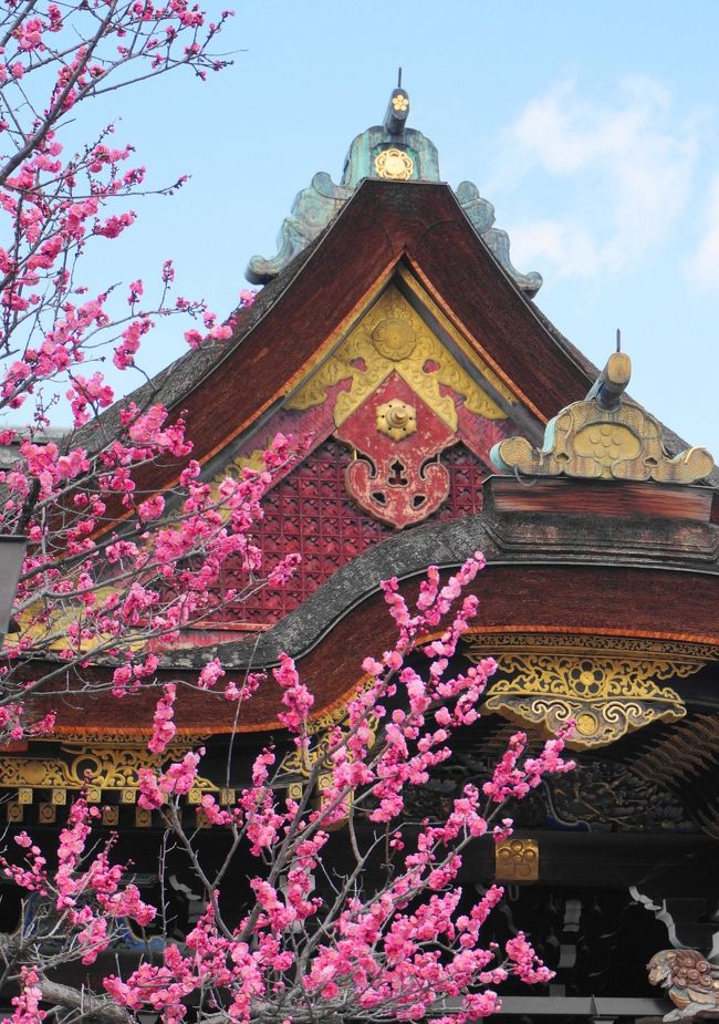 京都嵐山に、2019年10月新たな私設美術館「福田美術館」が誕生。<br />松園作品を中心に、東西で活躍した画家による美人画を展示する「美人のすべて」を鑑賞、心豊かな時間が過ごせました。<br />その後は、北野天満宮で梅を鑑賞。<br />境内に咲き誇る可愛い花に癒されました。<br />
