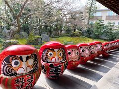 <京都・節分祭の歩き方.２＞達磨･ダルマのだるま寺！折紙稲荷に願をかけ･･･梅咲く節分１人旅