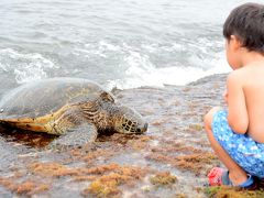 【1歳&3歳】初めての子連れハワイ⑧ - ノースショアでウミガメに会う -