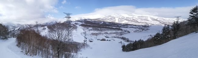 1月に雪のない湯沢；20年間で初めて！<br /><br />　昨年末から3回に分けて越後湯沢を訪問。これまで同地には20年以上通っていますが、ここまで雪のない湯沢は初めて！それでも2月中旬の僅かの降雪をきっかけに2回だけスキーを楽しみました。何とも残念な冬だったけど、来シーズンに期待して、今シーズンのスキーを納めました。<br />