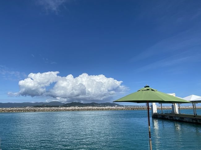 初日は竹富島観光。<br /><br />初めての石垣島旅行。直前の天気予報では三日間とも絶望的に雨でしたが、どういうわけか来てみると<br />三日間とも晴れて、その内の一日だけぱらっと降っただけでした。<br />日差しは強く、気温も26℃。季節外れの日焼けをしました。<br /><br />2月26日(水) JAL903便<br />東京/羽田 → 沖縄/那覇<br />定刻 07:40発 - 10:35着<br /><br />2月26日(水) JTA607便<br />沖縄/那覇 → 石垣<br />定刻 11:05発 - 12:10着<br /><br />2月28日(金) JTA070便<br />石垣 → 東京/羽田<br />定刻 10:55発 - 13:30着<br /><br />レンタカー<br />新石垣空港で借りて二泊三日。7950円<br /><br />オプショナルツアー<br />竹富島観光<br />石垣発・往復船便付きの水牛車コース<br />2000円×2