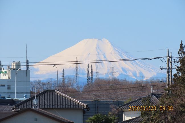 2月28日、午前9時半過ぎにふじみ野市より素晴らしい富士山が見られました。　快晴で湿度が低いために青空に映えたくっきりした真っ白な富士山が見られました。<br /><br /><br /><br />＊素晴らしかった富士山