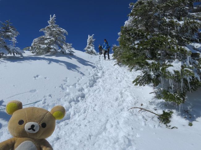 クマ！<br />２０１９　雪山は雲竜渓谷についで２つ目！<br />入門編　北横岳に行くクマ！<br />当然ロープウェイ―で楽して登るクマ！<br />少しの苦労はお金で解決クマァァ<br />雪の八ヶ岳を見るクマァ