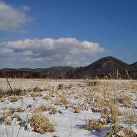 初めての鳴子温泉峡ー中山平温泉