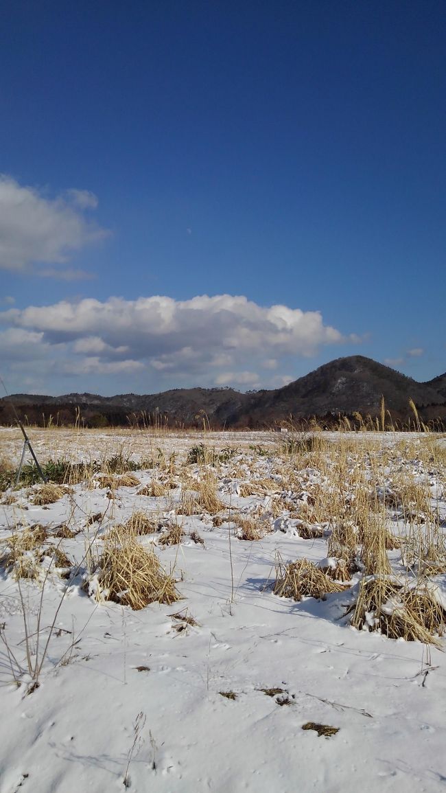 仙台近辺への出張があり、前日に休みを取って温泉に泊まることとし、口コミでお湯と食事の評判がよく、値段もリーズナブルな中山平温泉の三之亟湯に決めた。当日は朝早く東京を出て、まずは仙台で新幹線を降り、青葉城を見た。その後東北本線で鳴子方面に向かい、途中で電車の待ち時間が長かったりしたが、無事中山平温泉駅に到着。宿は駅のすぐ近くだったため、チェックインまで時間があったが、まずは荷物を預けようとして宿にお邪魔すると、部屋は空いているので入れていただけるとのこと。お言葉に甘えて荷物を部屋に入れさせていただき、周辺をすこし散策することにした。付近は例年と違い雪がほとんどなく、当日は天気も良かったため、青空と雪のコントラストを見ることができた。<br />宿のお湯は評判通りとろとろで、浴室で会った他の方は「毎年この時期に来ており、今回も3泊する。」とおっしゃってました。食事も評判通りそれぞれが丁寧に作られていて大変おいしく、ご飯は普段しないおかわりをしてしまった。なるほど、静かでゆっくりと温泉を味わって過ごすには最適なところ、と思った次第。<br />中山平温泉には、ほかにも泉質の違う宿があり、湯めぐりもできるとのことなので、是非再訪したいと思います。