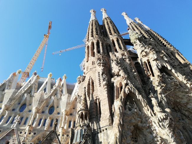 セントレアからフィンエアーでヘルシンキ経由、そしてバルセロナへ。<br />空港からわりと近いホテルで期待していなかったのですが、朝食がとてもよくて❤<br />バルセロナ観光ではサグラダファミリアに感動しました。<br />完成前に観る事が醍醐味だと思います。<br />グエル公園、ミラ邸、バトリョ邸を観光して、午後から19時の集合までフリー。<br />現地のガイドさんお勧めのバルでランチ。<br />とても美味しい上に日本人全くいなくて、地元感を味わえて最高でした!<br />夜はライトアップされたサグラダファミリアをゆっくり観ました。<br />翌朝はグラナダまでの長い道のり…違う旅行記でお伝えします。