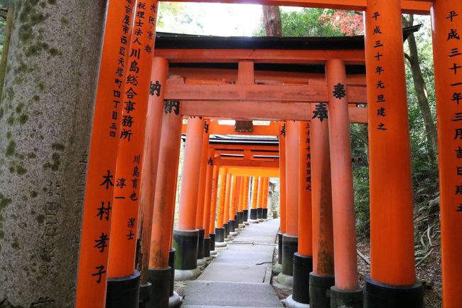 USJのチケットをもらったので初USJへ。<br />せっかくなので関西旅行もしようと3日間の旅。<br />羽田ー関空JALで行きUSJオフィシャルホテルに泊まりました。<br /><br />最終日は京都まで足を延ばしました。<br />JRに乗って京都駅まで行きました。<br />帰りは京都より関空までまた戻りJALで羽田に帰ってきました。