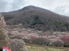 湯河原梅林とハイキング