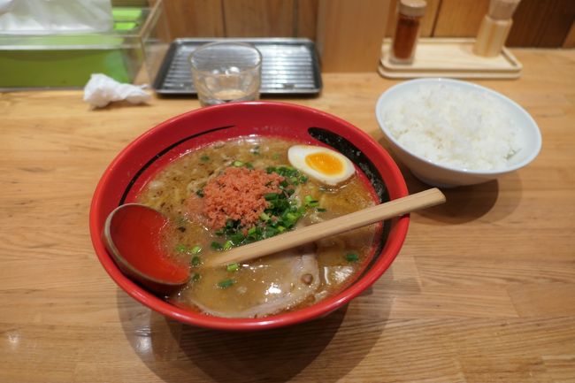 今年も年末年始に北海道に行きました。<br /><br />1日目　新千歳空港（エアターミナルホテル）<br /><br />2日目　札幌（ベッセルホテルカンパーナすすきの ）<br /><br />3日目　苫小牧（天然温泉　樽前の湯　ドーミーイン苫小牧 ）<br /><br />4日目　室蘭（天然温泉 幸鐘の湯 ドーミーイン東室蘭 ）<br /><br />5日目　室蘭（天然温泉 幸鐘の湯 ドーミーイン東室蘭 ）<br /><br />6日目　函館（ホテルWBF函館　海神の湯 ）<br /><br />7日目　函館（函館国際ホテル ）<br /><br />8日目　函館（函館・湯の川温泉　ホテル万惣 ）<br /><br />9日目　函館→羽田空港→富山