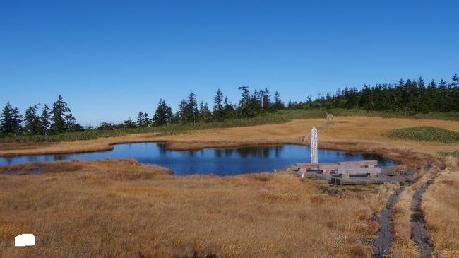 2019年10月、雪が降る前の日本百名山登山。<br />以前から気になっていた会津駒ヶ岳。山頂付近の高層湿原が絶景の山。<br /><br />課題はアクセス。会津駒ヶ岳往復の場合は東京からその日のうちに何とか日帰り可能だが、ここの見どころは山頂付近の湿原。駒ヶ岳山頂からさらに奥、中門岳までが見どころ。中門岳まで行くと日帰りは絶望的だった。<br /><br />そこで、前日に登山口のある尾瀬檜枝岐村に入り、民宿に前泊。<br />初日は観光と檜枝岐温泉を楽しむことにし、翌日早朝から登山を開始し、日帰り登山を行うことにした。<br /><br />会津高原尾瀬口12:40～桧枝岐役場13:48　温泉民宿あづま宿泊<br /><br />上の原6:00～駒ヶ岳登山口6:02　【会津駒ヶ岳登山】<br />道の駅13:24～前沢向14:00頃<br />前沢向15:40頃～会津高原尾瀬口16:20<br />