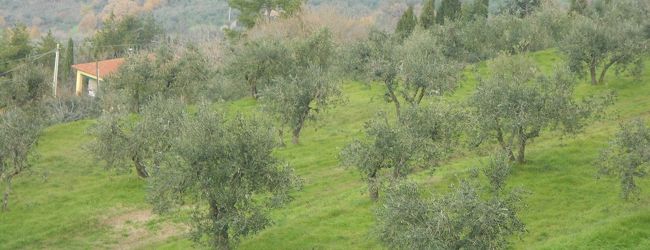 コルトーナ 旅行 クチコミガイド フォートラベル イタリア Cortona