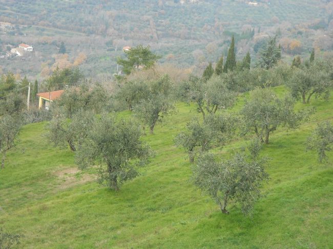 城壁に囲まれた美しい街コルトーナ(2)～イタリアで年越し⑧