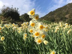 フグを食べに淡路島こゝちよへ ついでに諭鶴羽山登山