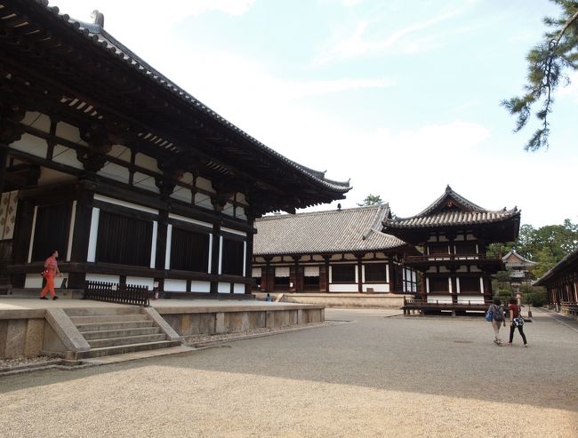 旅の三日目、法隆寺、薬師寺とお参りして、唐招提寺へ。<br />この日の最後の訪問先なので、ゆっくりと境内を廻りました。<br /><br />唐招提寺でも御影堂が修造中で拝観できず。<br /><br />今回の奈良訪問は　法隆寺、薬師寺でも、修造中の堂宇があり、何年かしたら、またいらっしゃいと言われているようです。<br /><br />この日の宿は近鉄の駅に近い春日ホテル、夕食後、時間があるので、夜の興福寺と東大寺に行ってみました。<br /><br />