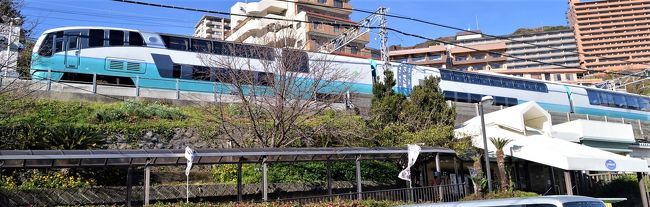 トラベラー諸氏と競作覚悟で…。<br />251系SVO(スーパービュー踊り子号)の3月引退と順次車両交代する185系踊り子号の乗り納めで久々に西伊豆まで足をのばした。<br />平日にもかかわらず往復とも満席の盛況ぶりでさすがに伊豆旅行は強い。<br />以前の画像も含めて列車中心に紹介する。<br /> 表紙は下り熱川駅にて2018.12<br /><br />*伊豆方面リゾート列車の印象*<br /> 185系踊り子:庶民にやさしいお手軽列車→E257系に順次交代<br /> E259系マリンエクスプレス踊り子:臨時だが乗れればお得→引退<br /> 251系SVO:庶民も乗れるゴージャス列車→引退は泣<br /> 651系伊豆クレイル:小田原発ほぼツアー商品につき評価困難<br /> E261系サフィール踊り子:富裕層向け3月より(庶民は見るだけ)<br /> ロイヤルエクスプレス(伊豆急):富裕層御用達(庶民は外観で満足)<br /> リゾート21(伊豆急):庶民の味方各駅停車で金目鯛色や黒船色などあり<br /><br />行程<br />2/20 本庄(湘南新宿ライン)~新宿~伊豆急下田~堂ヶ島<br /> 堂ヶ島ニュー銀水(泊)<br />2/21 堂ヶ島~伊豆急下田~東京(上野東京ライン)~本庄<br /><br /><br />