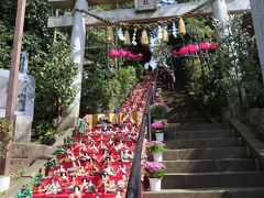 春よ来い　座間神社　ひな祭り　　千体の雛