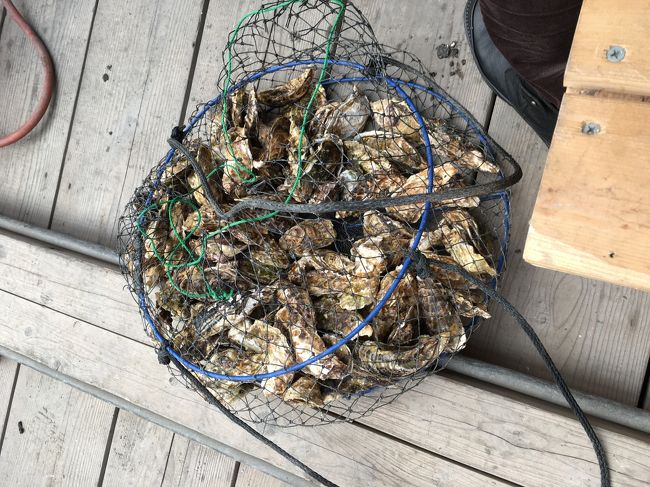 フォートラの方々と三重県に牡蠣食べ放題に行かせていただきました。<br />諸事情!?によりあまり写真がありませんが、いつも一人旅なので、<br />大変楽しかったです。(その分、帰宅したら寂しかったですね~)<br /><br />2/28 HND17:40→NGO18:45 NH085<br />2/29 名古屋→鳥羽 みえ5号 3,030円(指定込)<br /> 宿泊 錦浦館(鳥羽) 一泊二食13,030円(税込、入島税込)<br />3/1 名古屋17:49→品川19:22 のぞみ178号<br /><br /><br /><br />