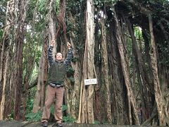 屋久島2泊3日でヤクスギランドと白谷雲水峡の1時間コースを歩く(志戸子ガジュマル園)