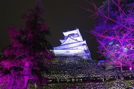 高知の観光地めぐり。地球３３番地・チームラボ演出の高知城・海洋堂ホビー館