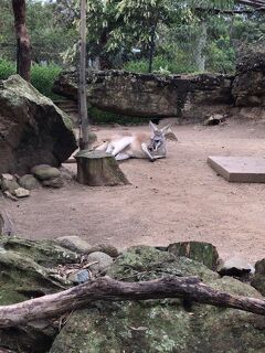 私のアナザースカイ　シドニー　～シーライフシドニー&タロンガ動物園～