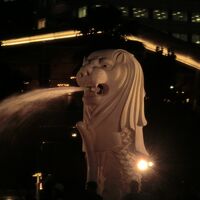 初海外旅行！リッツカールトンで過ごす、見どころを詰め込んだ大満足家族旅