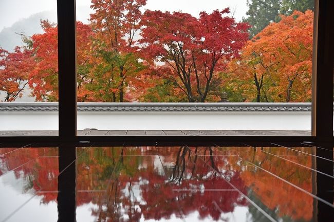 毎年11月下旬に、長野県小諸市にあるりんご園にりんご狩りに出掛ける。りんごの木１本を予約しておいて、実ったりんご全部をもぎ取るシステムで、もう10年以上も前から我が家では秋の恒例行事となっている。最近では、娘達の２家族全員も参加して、計10人が集まる一大行事だ。年間を通して10人が集まる行事は、不定期では何度かあるものの、必ずとなるとお正月のお祝いとこのりんご狩りの２つだけだ。<br /><br />りんご狩りそのものは２～３時間で終了するが、レジャーで東京や千葉から出掛けるのだからと、ここ数年は軽井沢で１泊するようになった。軽井沢から小諸のりんご園までは、車で30分程度だ。１日目にりんご狩りを行うか、２日目になるかは天気次第だが、いずれにしろりんご狩りをしない日には、別のレジャーを楽しむことが出来るので、娘たちも軽井沢のアウトレットに行ったり、信州のお城巡りに行ったりしている。我が家も、千葉から小諸までの途中や信州で、りんご狩りの前後にもうひとつの行楽をするのが楽しみになっている。最近の実績は以下の通りだ。<br /><br />2018年：長瀞の紅葉見物（埼玉県秩父市）<br />2017年：平林寺の紅葉見物（埼玉県新座市）<br />2016年：上田城見物（長野県上田市）<br />2015年：妻沼聖天山見物（群馬県熊谷市）、富岡製糸場見物（群馬県富岡市）<br />2014年：碓氷峠鉄道文化村見物（群馬県安中市）<br />2013年：富岡製糸場見物、軽井沢アウトレット<br />富岡製糸場は、世界遺産登録となった2014年の前後に２回行ったことになる。<br /><br />さて、今回はどうしようかとネットや旅行情報をチェックした結果、群馬県桐生市にある床もみじが評判の宝徳寺と高津戸峡の紅葉見物に行くことになった。特に参考になったのが東京出発の日帰り紅葉見物バスツアーの旅程であり、桐生市周辺で行くことになっているいくつかの紅葉スポットのうち、車で行って数時間で効率良くしかも見応えのある見物が出来るようなところを選んだ。わたらせ渓谷鉄道では、かなり奥まで行ってみたい気もあったが、11月下旬という紅葉にとってはやや遅い時期ということや車で短時間という条件の叶う高津戸峡のみに留めておいた。<br /><br /><br />