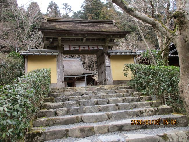 有名な寂光院と、大原に点在する小さなお寺へいきました。観光客はすくなくて、静かな大原でのんびり散策しました。