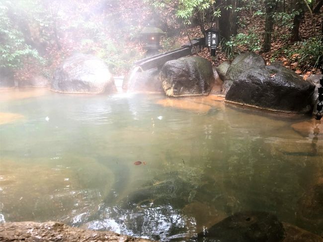【2019年12月】冬の九州旅3日目：雨の黒川温泉。入湯手形で湯巡り