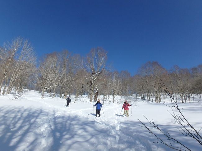 大人の雪遊び　inみなかみ：２０２０＠大幽コースだけど洞窟に行かない！ 須原尾根でチーズフォンデュ♪