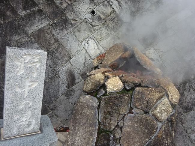 冬の寒い時期になると温泉に行きたがる旦那。<br />ほぼ毎年のように函館に行ってましたが、今年は伊豆の修善寺と熱海にしました。<br /><br />そういえば、伊豆の温泉は色々な所に行きましたが、熱海には泊まったことが無かったので初熱海でした。<br />最近は人気があるせいか、伊藤園ホテルグループも熱海はそんなに安くはありません。<br />以前行った伊東はかなり安かったですが、熱海は都心からも近いのが魅力でしょうか。<br /><br />久しぶりの温泉。<br />温泉に入ると肌が乾燥しないのがいいですね。