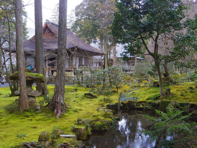 ２日目は、ずーっと昔から行きたかった京都・大原・三千院。きょーと・おーはら・さんぜーんいん♪<br />２月に京都郊外の山里は、雪も降るし寒いし観光に適さないのではないかと思いましたが、４トラベラーさんの旅行記では雪はちらついていたけれど大丈夫そうだったので、天気次第で行こうと候補に入れてありました。<br />３日目は１５時の新幹線で帰るので、２日目の今日がチャンス！<br />幸い天気予報も曇り→雨で降水確率は10パーセント。<br /><br />表紙は三千院の往生極楽院<br />