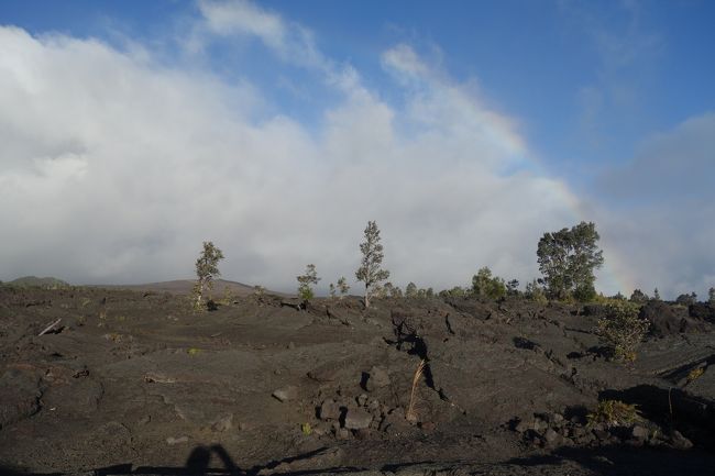 初めてのハワイ島。キラウエア火山も新しい黒砂のビーチも星空も見たくて、2日目はマサシのネイチャースクールの1日ツアー「世界遺産キラウエア火山とマウナケア星&amp;黒砂ビーチ」に参加しました。しばらく閉鎖していたという溶岩洞窟に、ちょうどこの日から入場できることになり、予定変更になりましたがラッキーでした。