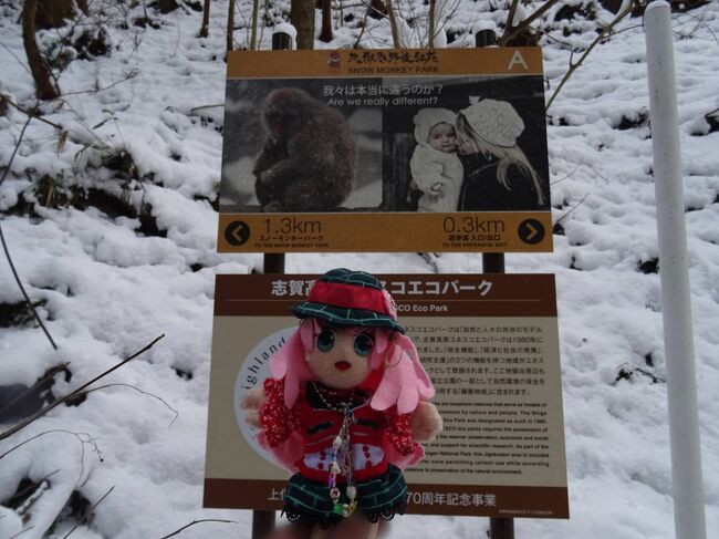 今日は、長野県の北の方。<br />「湯田中渋温泉郷」に行ってきたお話だヨ。<br /><br />目的はもちろん、<br />「信州の温泉猿」と「渋温泉の湯めぐり」。<br />そして冬真っただ中の景色を楽しむことだったヨ！<br /><br />今年の冬は暖冬とのコトだったので、<br />正直、雪景色はあまり期待はしてなかったんだケド、<br />行ってみたら、きのう降ったと思しき雪が残っていて、<br />なかなか冬ならではの旅を楽しめた気がしたヨ！<br /><br />翌日：<br />https://4travel.jp/travelogue/11613932