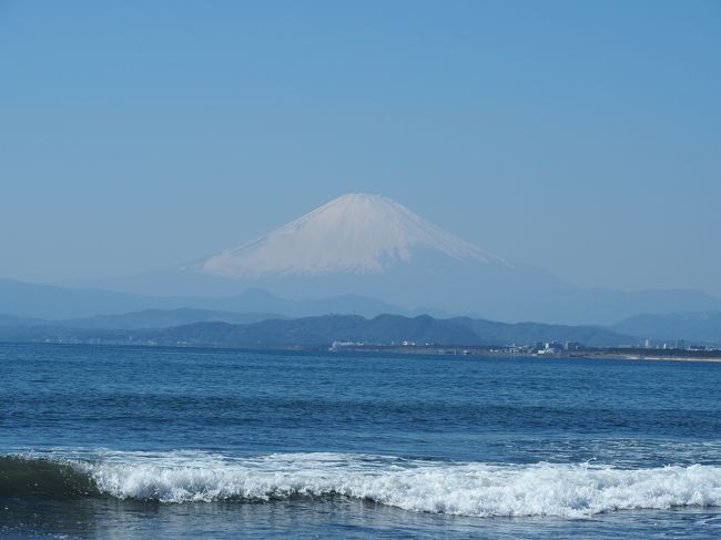 新型コロナウイルスの感染拡大が止まらず、仕事以外の外出は自粛していますが、いつまで続くのか出口が見えないので気がめいってきます。<br />この日は、天気も良くなったので、気分転換に海を見たくて江の島まで出掛けました。<br /><br />江の島は、外国人観光客は激減(アジア系はほとんど見かけず)、学校が休みになり、暇を持て余している若者たちが増えていました。<br />「人混みを避けて遊び場を探すと、江の島が候補になったのかも?」<br />一方、「新型コロナウイルスの感染予防のため、一時拝観中止となっている」寺もありました。