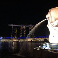 JAL特典航空券でシンガポール