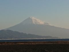 河津桜・みなみの桜・修善寺梅林　早春の伊豆半島ぐるっと満喫決定版・2