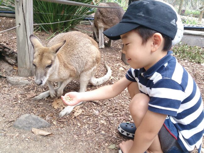 子連れでケアンズ 15 ケアンズ オーストラリア の旅行記 ブログ By きいこにゃんさん フォートラベル 子連れでケアンズ 15 ケアンズ オーストラリア の旅行記 ブログ By きいこにゃんさん フォートラベル